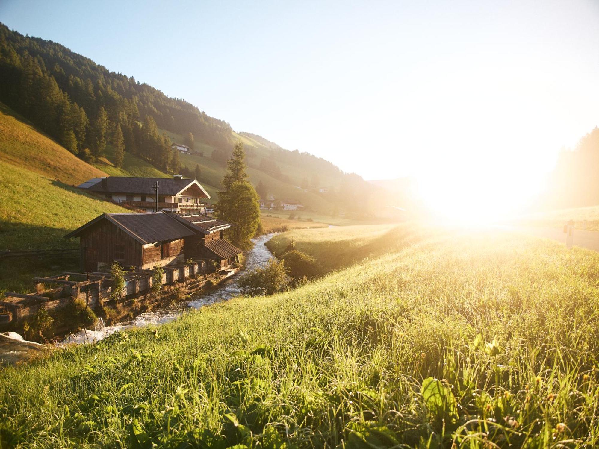 Almi'S Berghotel Obernberg am Brenner Eksteriør bilde